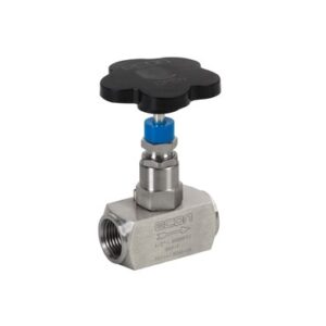 Válvula de aguja ECON 2226 Acero inoxidable Volante Rosca interna (BSPP)